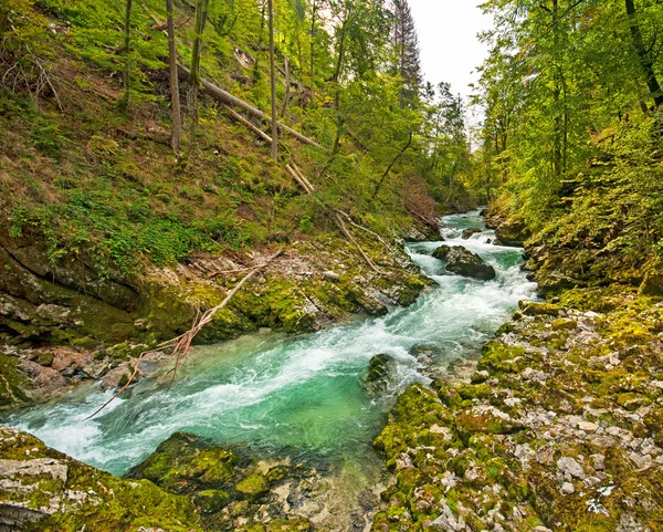 Fából készült kerti ösvény, Bled, Szlovénia — Stock Fotó