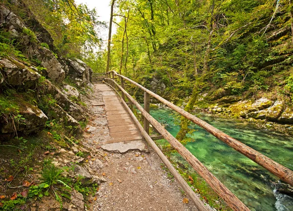 Caminho de madeira, Bled, Eslovênia — Fotografia de Stock