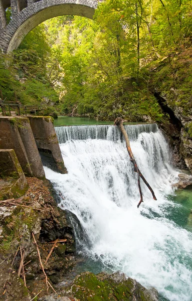 Fából készült kerti ösvény, Bled, Szlovénia — Stock Fotó