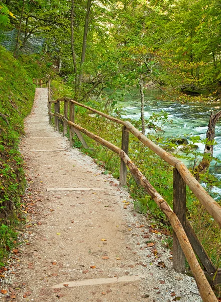 Caminho de madeira, Bled, Eslovênia — Fotografia de Stock