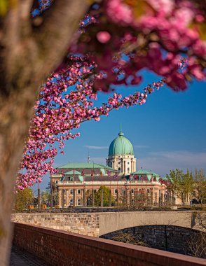 Budapeşte, Macaristan 'daki Budapeşte Kalesi bölgesinde inanılmaz bir bahar manzarası var.