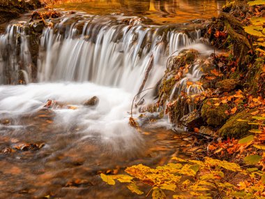 Sonbaharda ormanda güzel bir şelale.