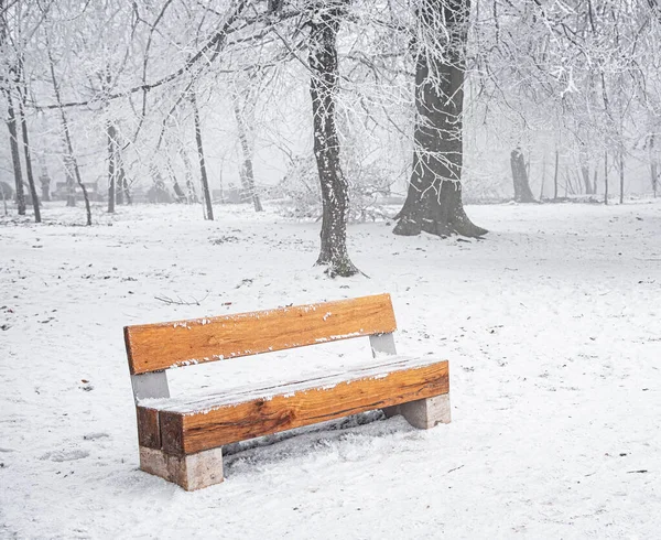 森の冬のベンチ — ストック写真