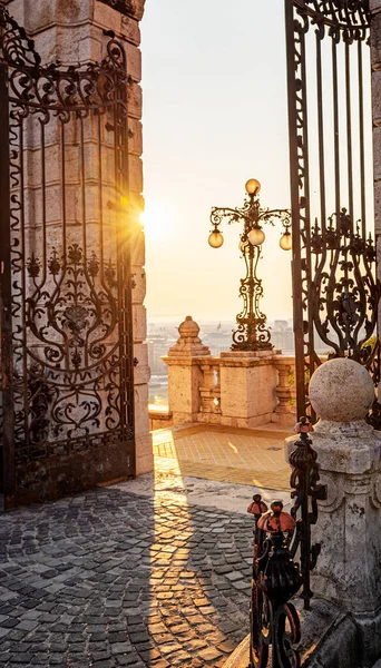 Porta Del Palazzo Reale Mattino Budapest Ungheria — Foto Stock