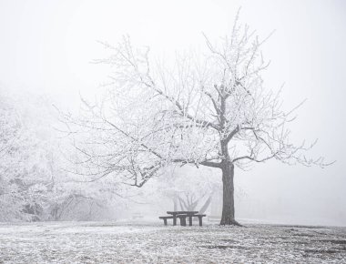 Kışın halk parkında bankta.