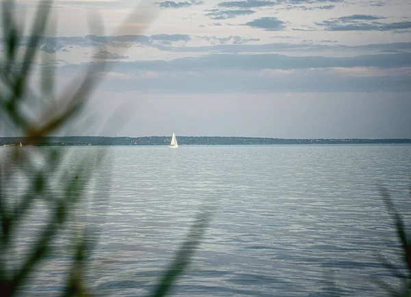 Segelboot Mit Schilf Balaton Ungarn — Stockfoto