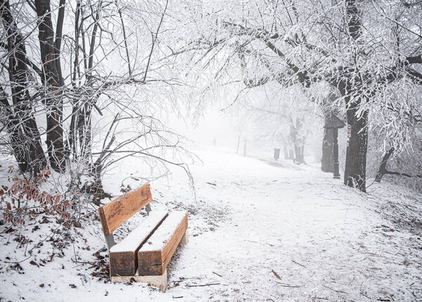 Bench in the public park in winter