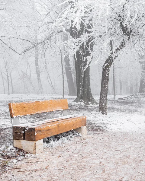 Скамейка Общественном Парке Зимой — стоковое фото