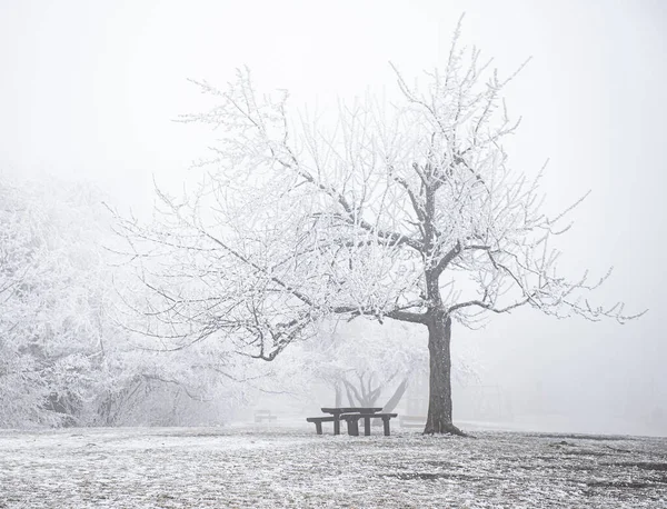 Banc Dans Parc Public Hiver — Photo