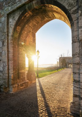 Macaristan, Budapeşte 'deki Kraliyet Sarayı' nın kapısı
