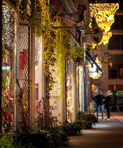 Budapest Hungria Dezembro 2020 Luzes Natal Das Lojas Centro Budapeste — Fotografia de Stock