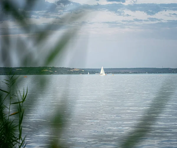 Segelboot Mit Schilf Balaton Ungarn — Stockfoto