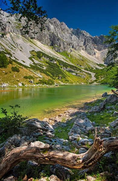 Increíble Vista Del Lago Skrcko Parque Nacional Durmitor Montenegro Verano —  Fotos de Stock