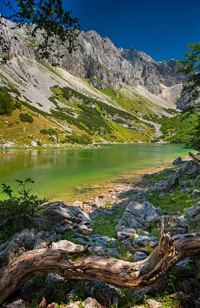 Úžasný Výhled Jezero Skrcko Národním Parku Durmitor Černá Hora Létě — Stock fotografie