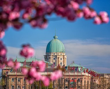 BUDAPEST, HUNGARY - 10 HAZİRAN, 2020: Buda Kalesi Bölgesi 'ndeki Buda Şatosu Kraliyet Sarayı ile şaşırtıcı ilkbahar şehri