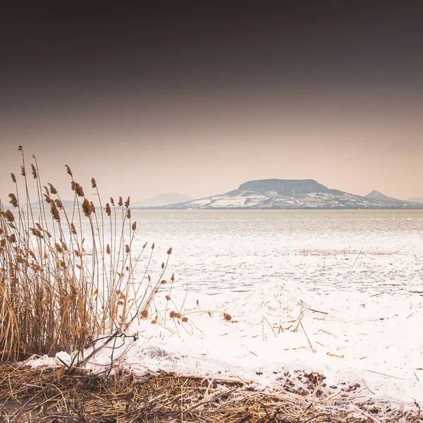 Jäädytetty Balaton Järvi Talvella — kuvapankkivalokuva