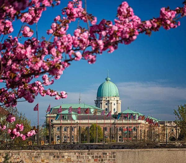 Budapest Ungern April 2020 Fantastiskt Vårlandskap Med Buda Slott Kungliga — Stockfoto