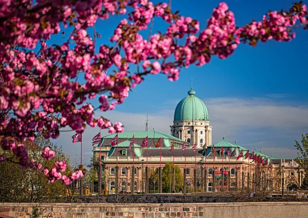 Budapest Maďarsko Dubna 2020 Úžasné Jarní Město Královským Palácem Budínského — Stock fotografie