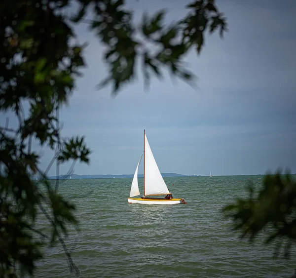 Veleiro Com Cana Árvore Lago Balaton Hungria — Fotografia de Stock