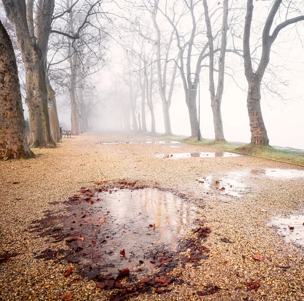 Strada Nebbiosa Lago Balaton — Foto Stock