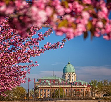 BUDAPEST, HUNGARY - 10 HAZİRAN, 2020: Buda Kalesi Bölgesi 'ndeki Buda Şatosu Kraliyet Sarayı ile şaşırtıcı ilkbahar şehri