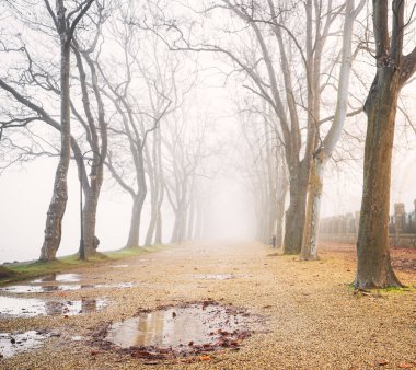 Balaton Gölü 'nde sisli yol