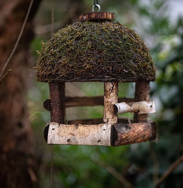 庭の鳥のための木造の家 — ストック写真