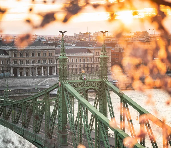 Liberty Bridge Budapest Ungern Morgonen — Stockfoto