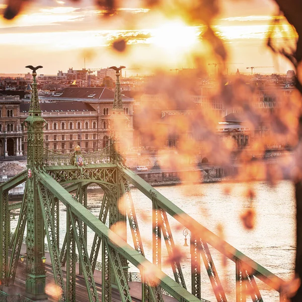 Liberty Bridge Budapešti Maďarsko Ráno — Stock fotografie