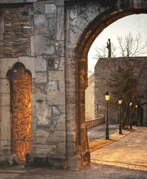 Detail Des Königlichen Palastes Budapest Ungarn — Stockfoto