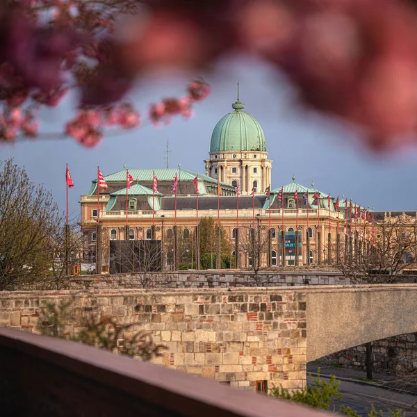 Amazing Spring Cityscape Buda Castle Royal Palace Buda Castle District — Stock Photo, Image
