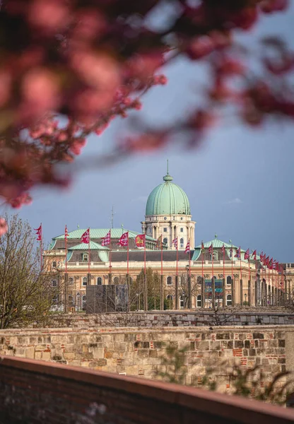 Paysage Urbain Printanier Incroyable Avec Palais Royal Château Buda Dans — Photo