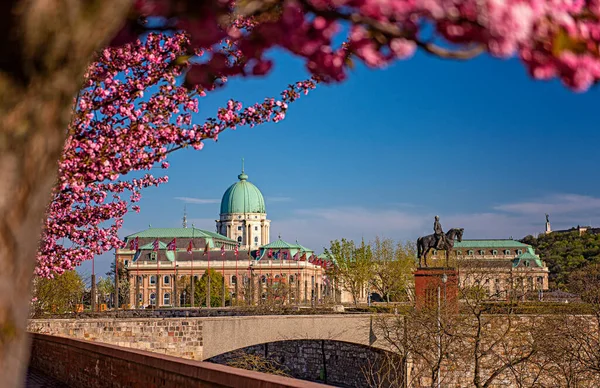 Budapest Hungary April 2020 Amazing Spring Cityscape Buda Castle Royal — Stock Photo, Image