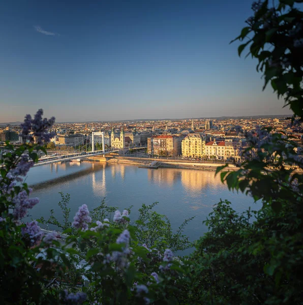 Θέα Στη Βουδαπέστη Γέφυρα Ελίζαμπεθ Την Άνοιξη — Φωτογραφία Αρχείου