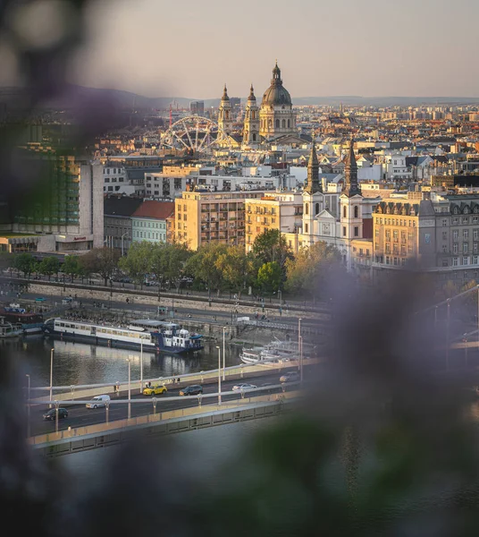 Utsikt Över Budapest Med Elisabeth Bridge Våren — Stockfoto