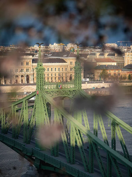 Liberty Bridge Budapeste Hungria Pela Manhã — Fotografia de Stock
