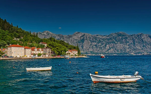 Perast Montenegro August 2019 View Old City Perast Montenegro — стокове фото