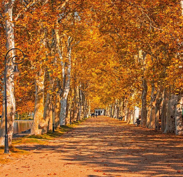 Percorso Sul Lago Balaton Autunno — Foto Stock