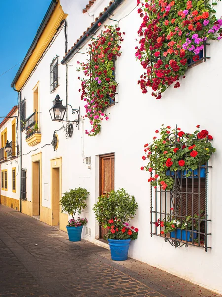 Cordoba Espanha Maio 2018 Cidade Velha Córdoba Com Flores Maio — Fotografia de Stock