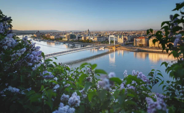 Θέα Στη Βουδαπέστη Γέφυρα Ελίζαμπεθ Την Άνοιξη — Φωτογραφία Αρχείου