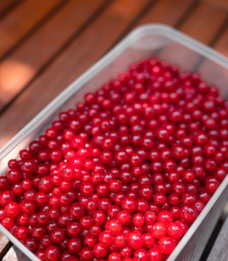 Ahşap masada çiğ kırmızı frenk üzümü