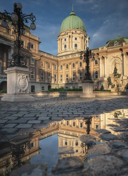 Královský Palác Buda Budapešti Letním Dešti — Stock fotografie