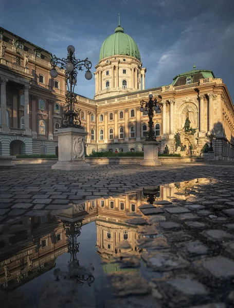 Královský Palác Buda Budapešti Letním Dešti — Stock fotografie