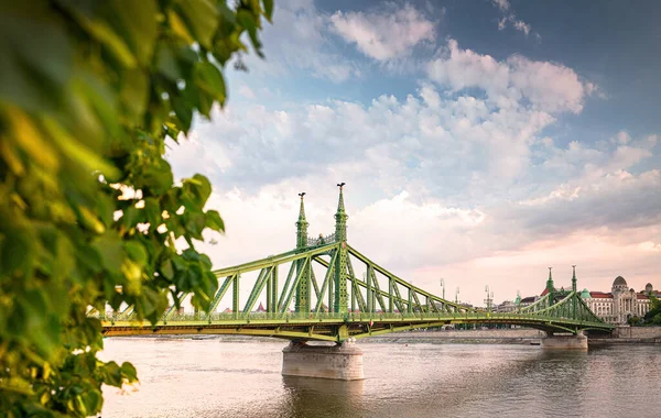 Ikonický Most Budapešť Liberty Bridge Létě — Stock fotografie