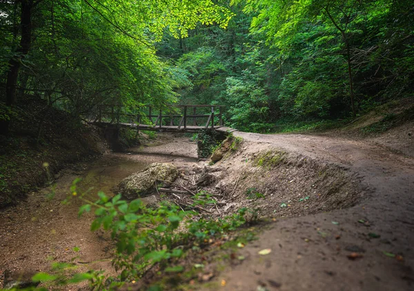 Schöne Loipen Jegenye Tal Sommer — Stockfoto