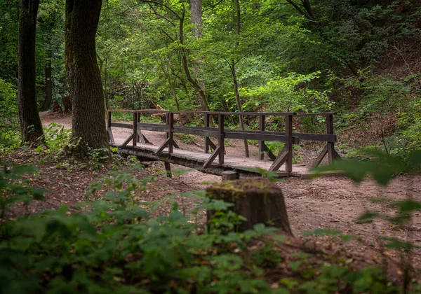 Nice Trail Jegenye Valley Summer — Stock Photo, Image