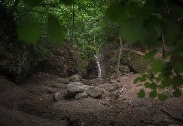 Pěkná Stezka Jegenye Valley Létě — Stock fotografie