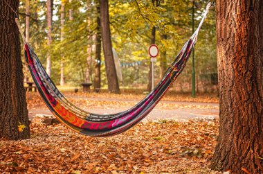 Sonbahar bahçesindeki hamak.