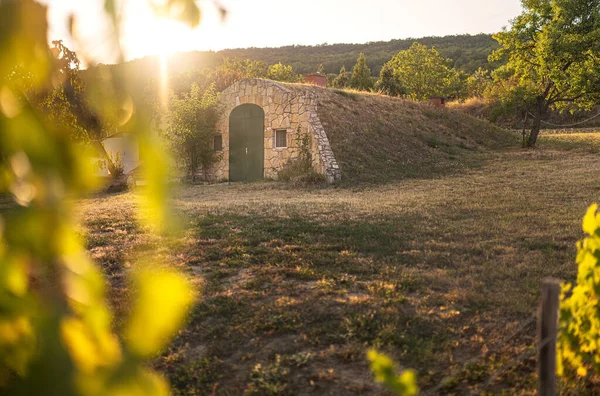 Nice old stone vine cellar in Csopak Region in Hungary in the afternoon lights