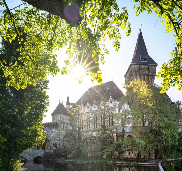 Veduta Sul Castello Vajdahunyad Nel Parco Della Capitale Ungherese Budapest — Foto Stock